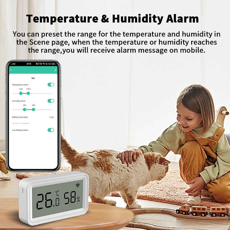 Tuya Zigbee WiFi Thermometer H - Temperature Humidity Sensor review and price