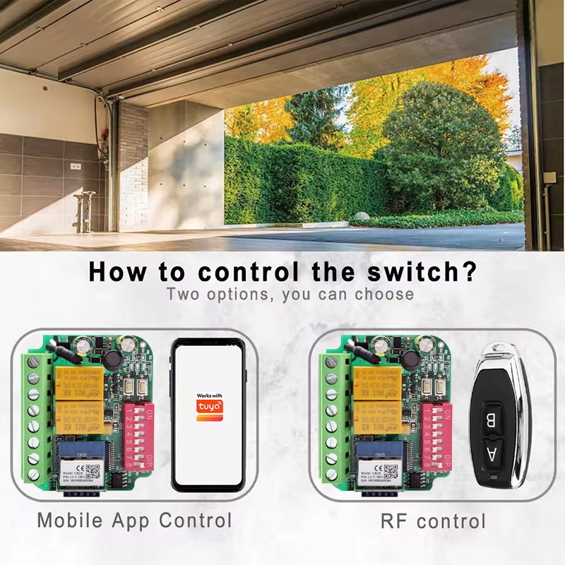 Universal Works WIth Tuya WiFi - 433Mhz Receiver Module review and price